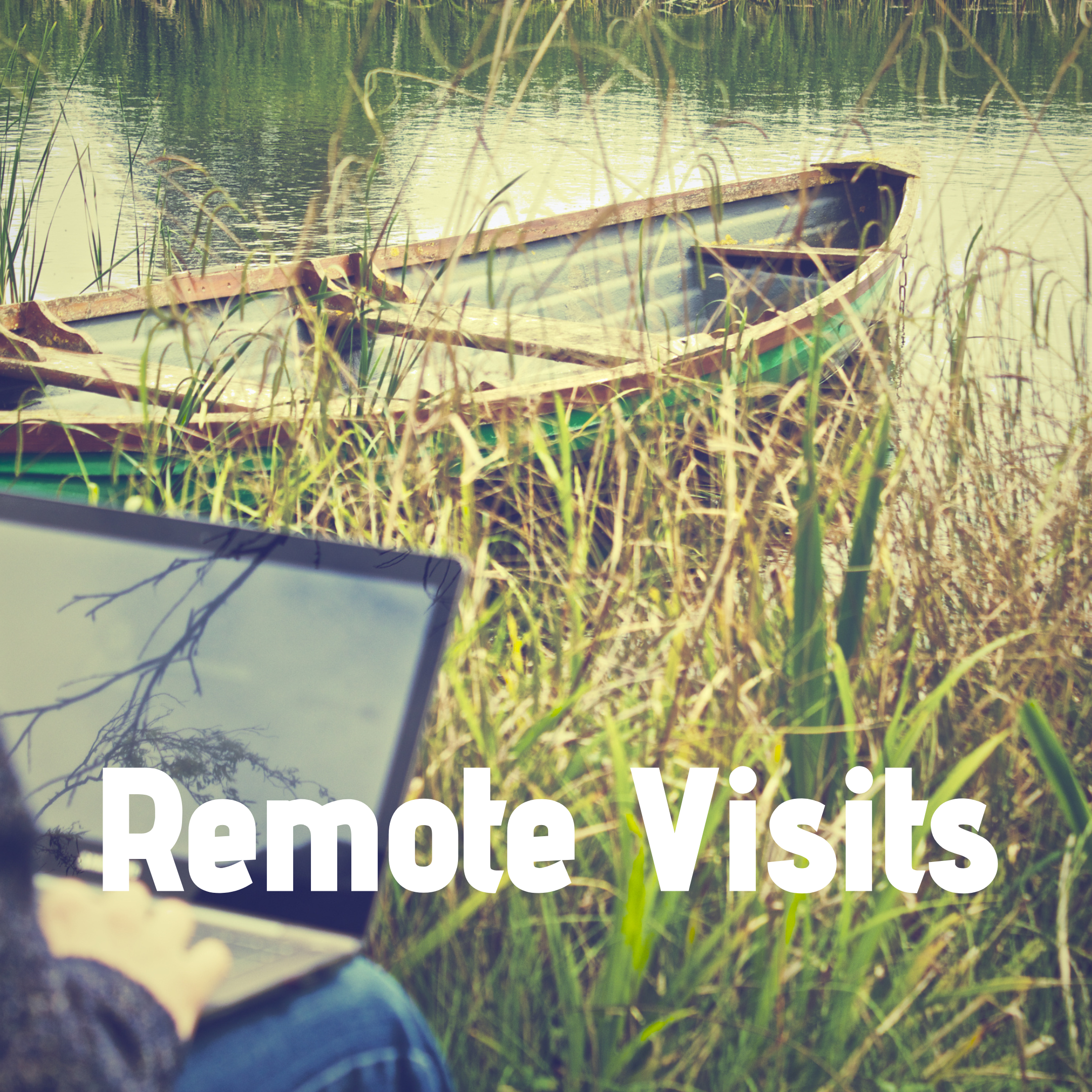 Remote visits